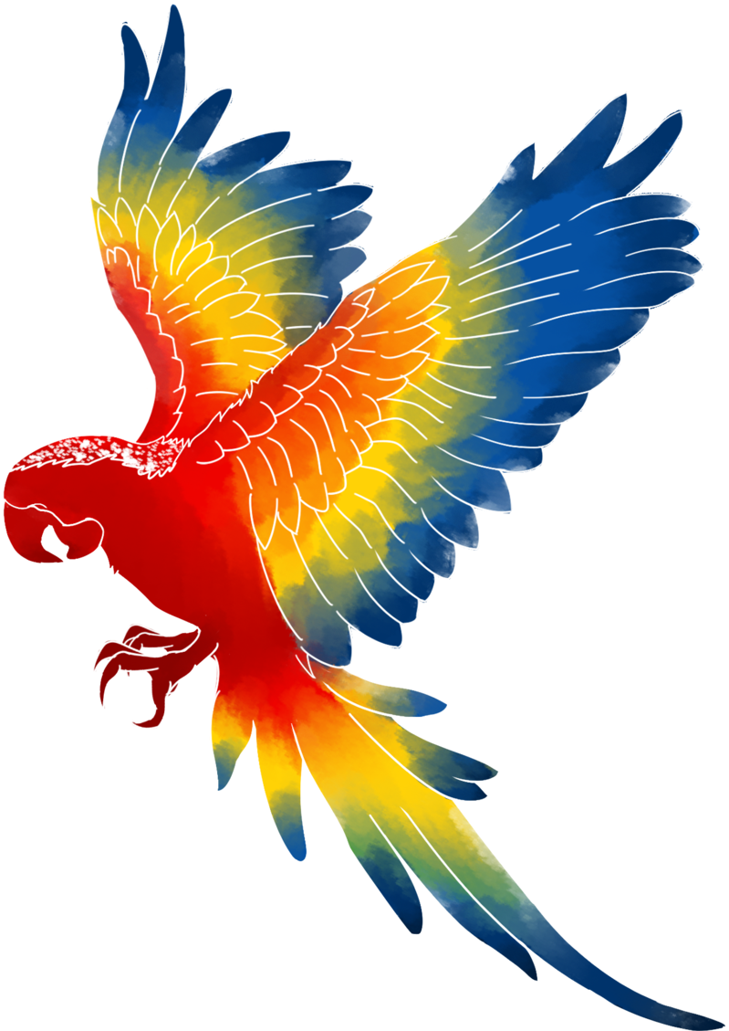 Macaw PNG Isolated File