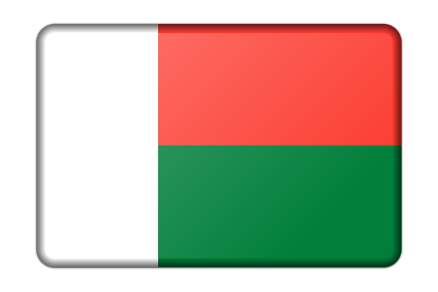 Madagascar Flag PNG Isolated Photo