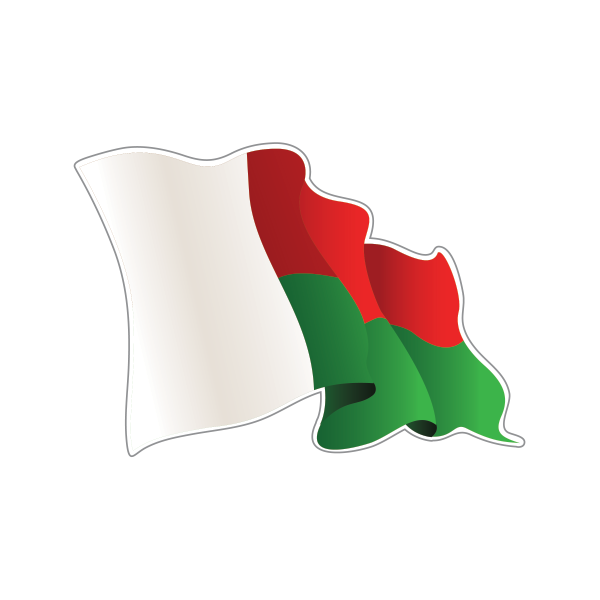 Madagascar Flag PNG Isolated Pic