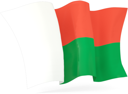 Madagascar Flag Transparent PNG