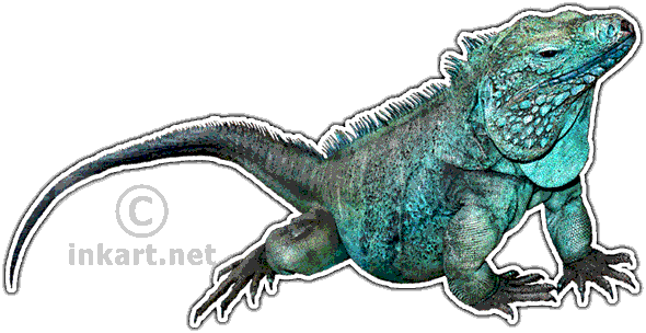 Madagascar Iguanids PNG HD Isolated