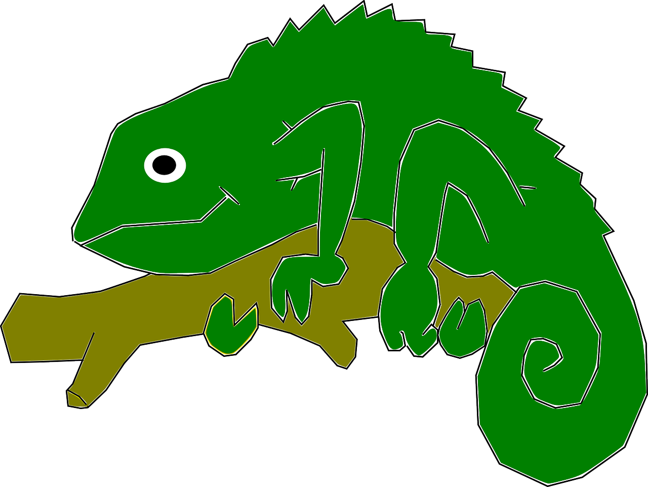 Madagascar Iguanids PNG Picture