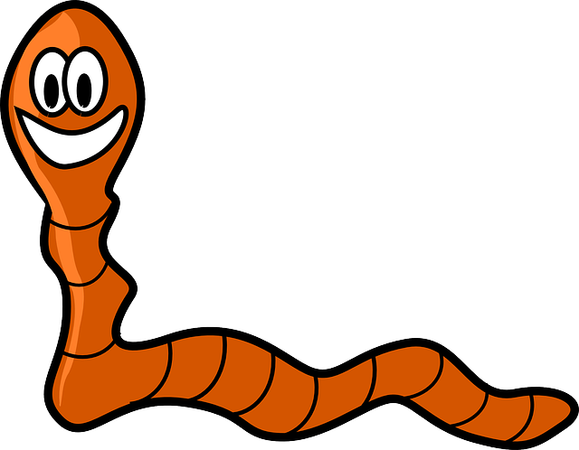 Maggots PNG Isolated Picture