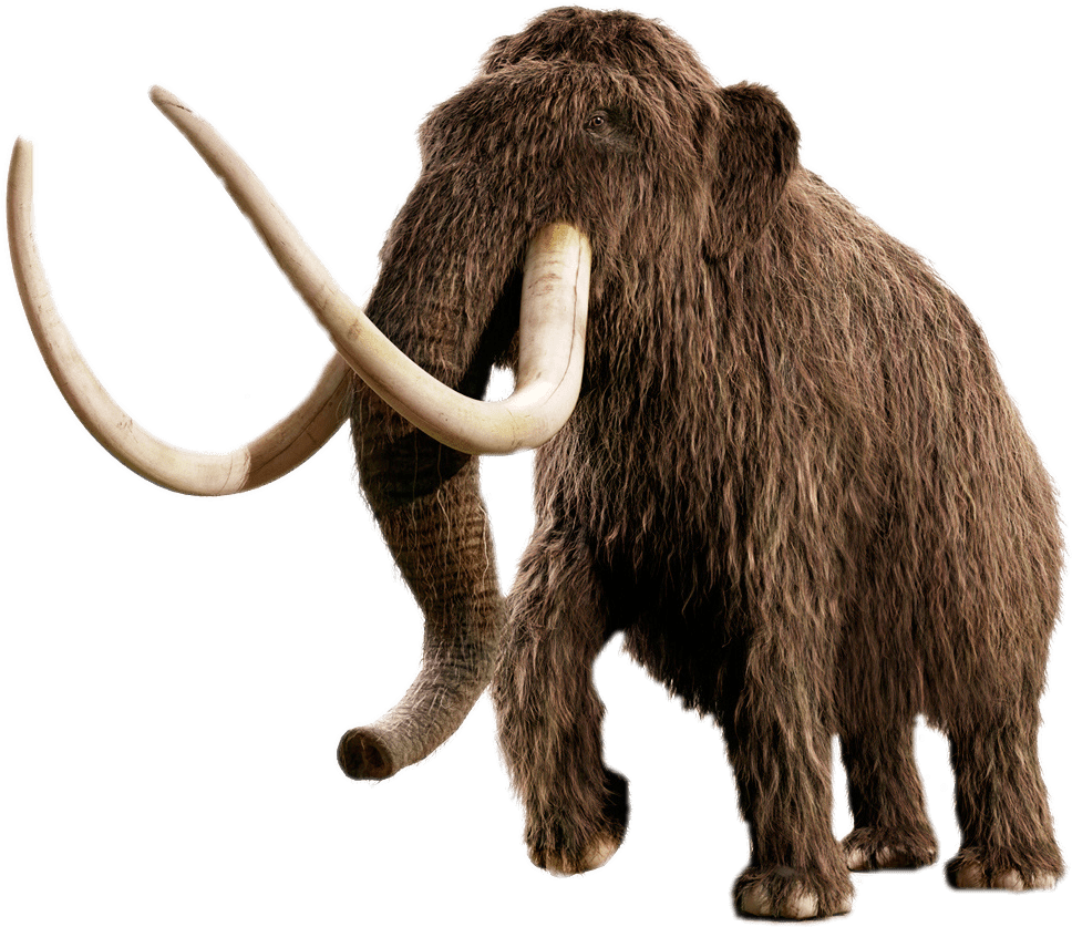 Mammoth PNG Isolated Image