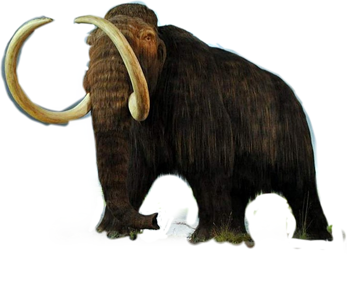 Mammoth Transparent PNG