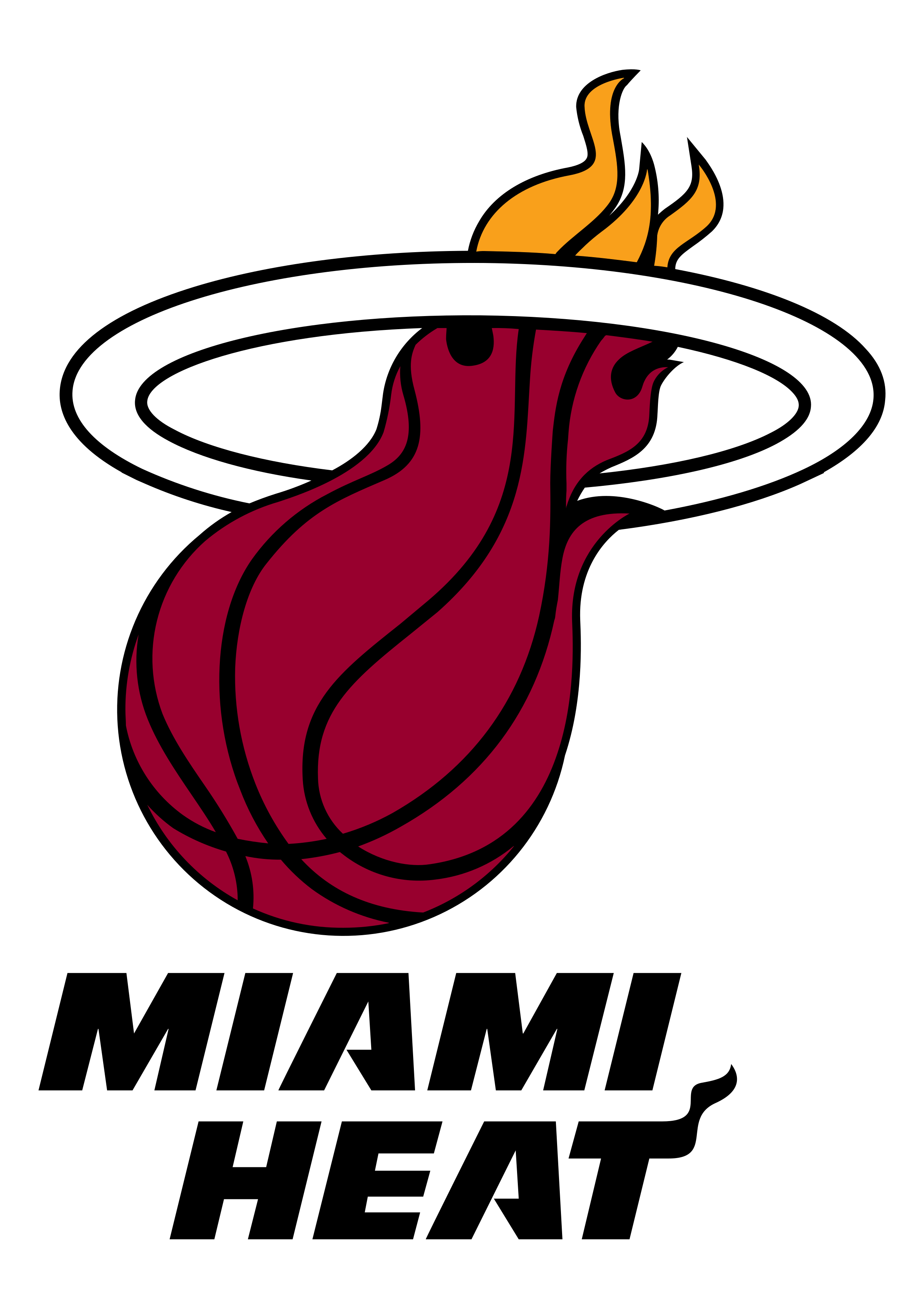Miami Heat PNG Isolated Image