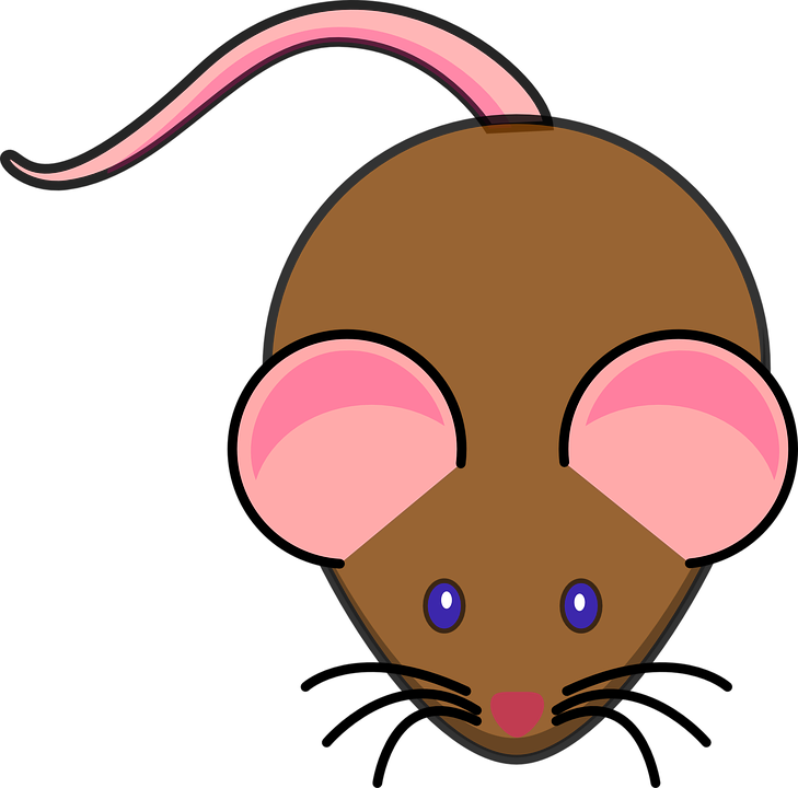Mice PNG HD