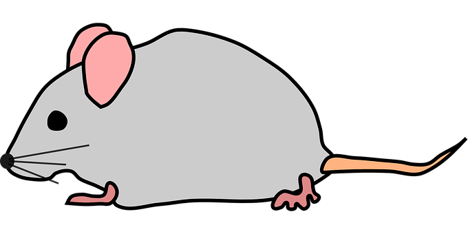 Mice PNG Isolated Image