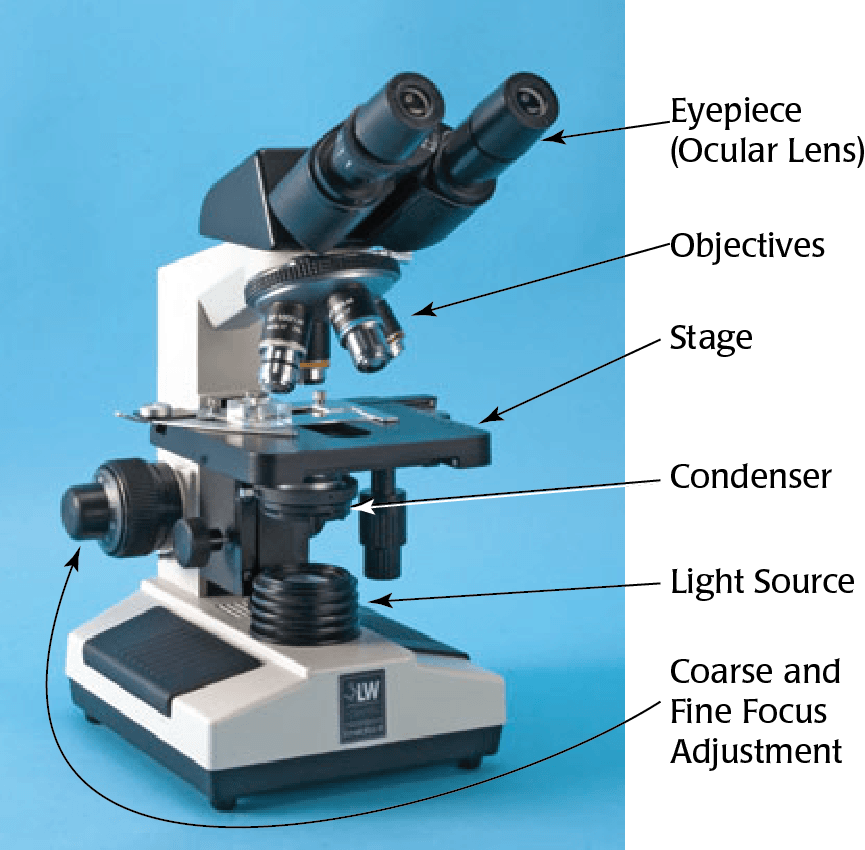 Microscope PNG Pic