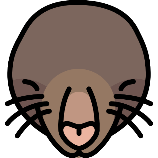 Mole Animal PNG Picture