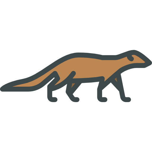 Mongooses PNG Isolated HD