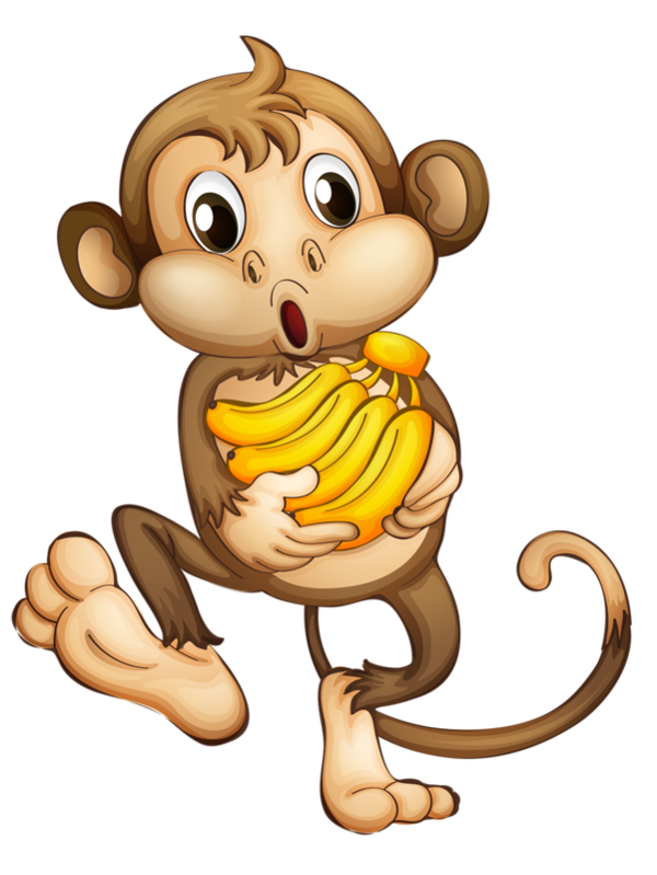 Monkey PNG Clipart