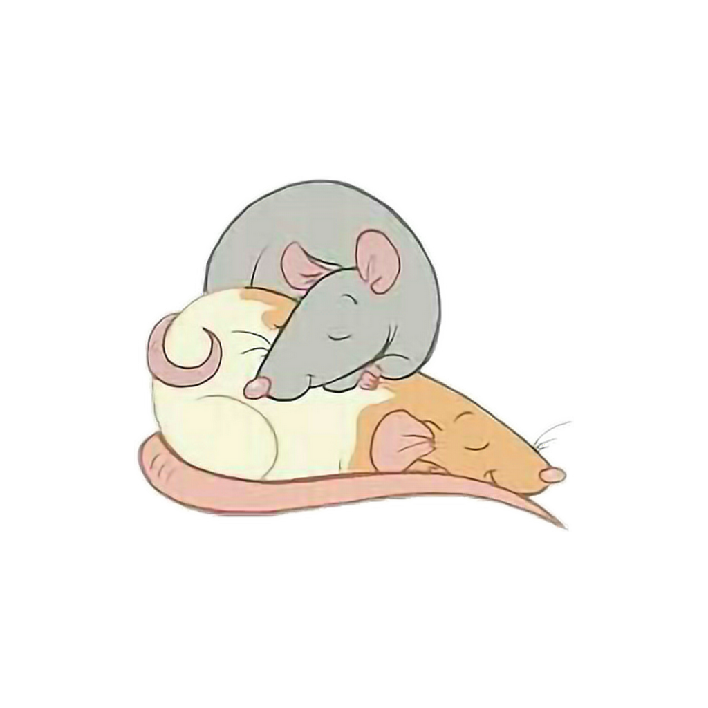 Mouse Animal PNG Isolated File