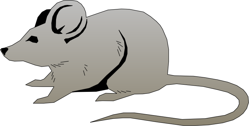 Mouse Animal PNG Isolated Photo