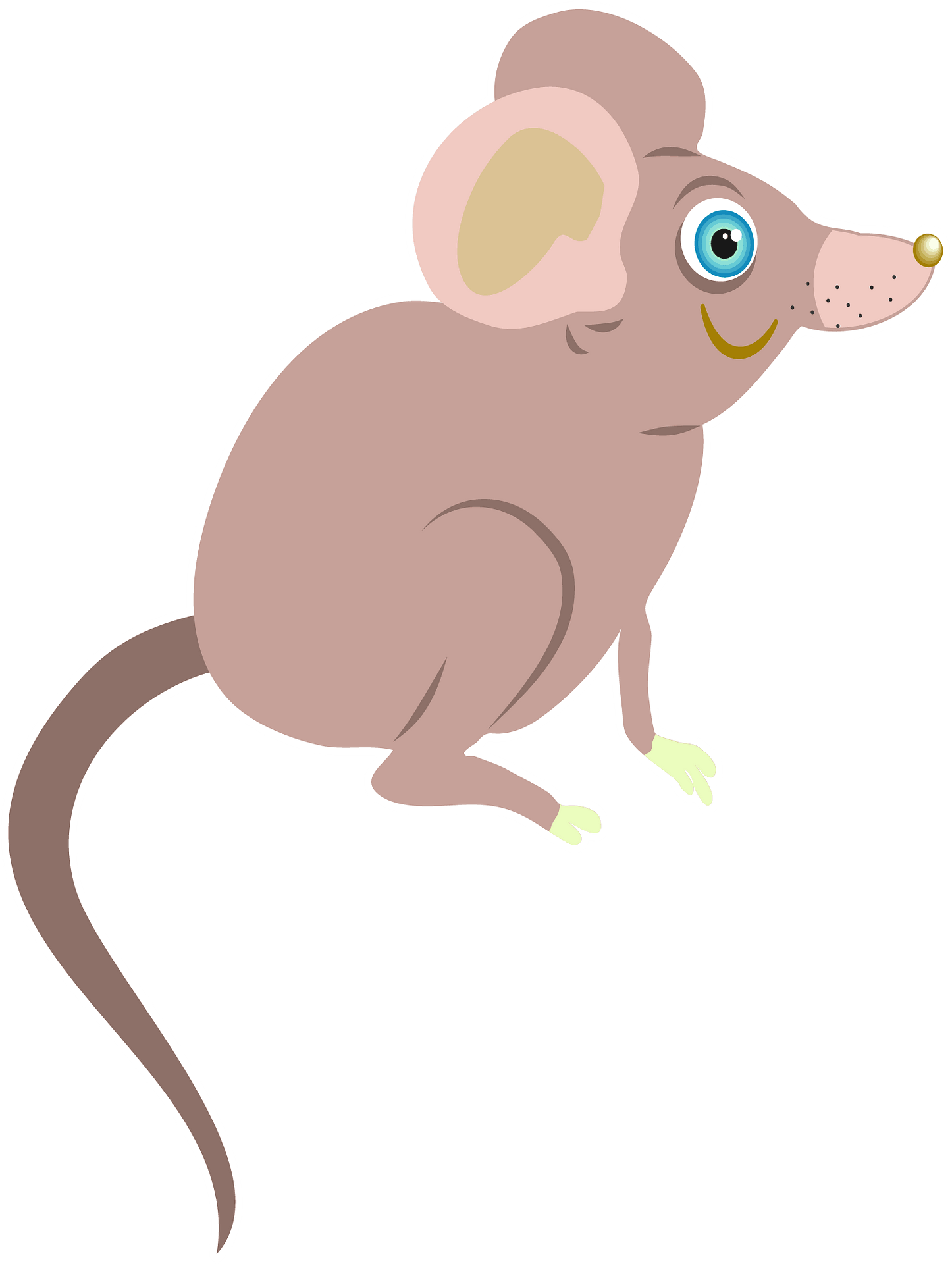 Mouse Animal PNG Isolated Pic