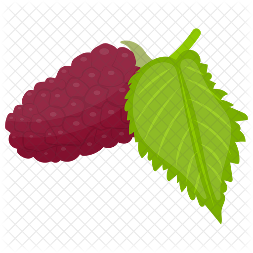 Mulberry PNG Free Download
