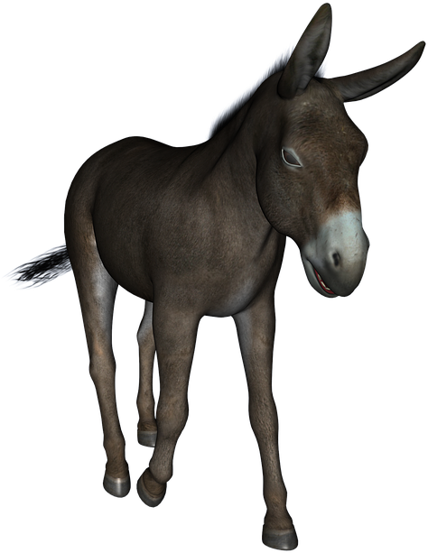 Mule PNG HD Isolated