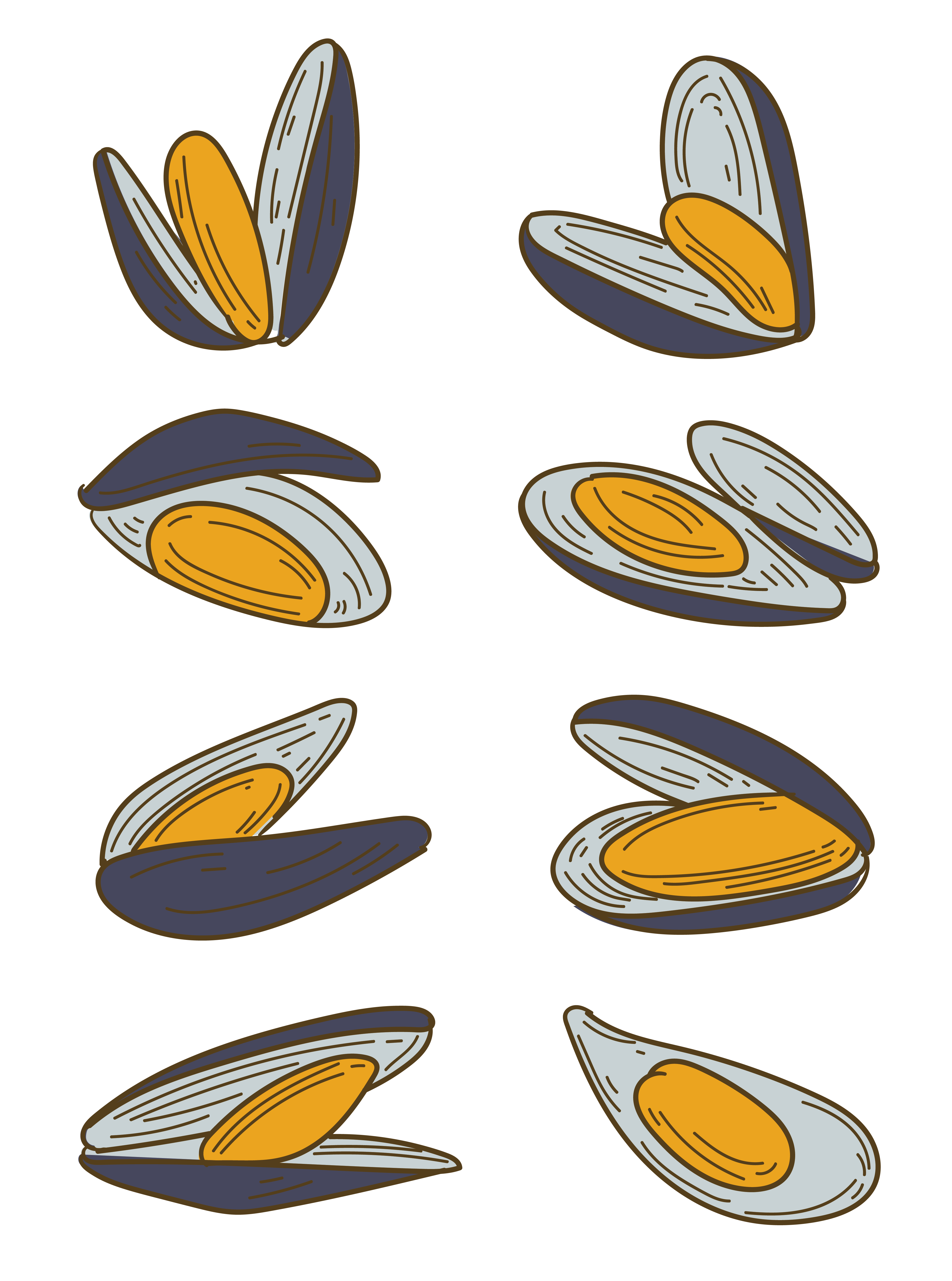 Mussels PNG File