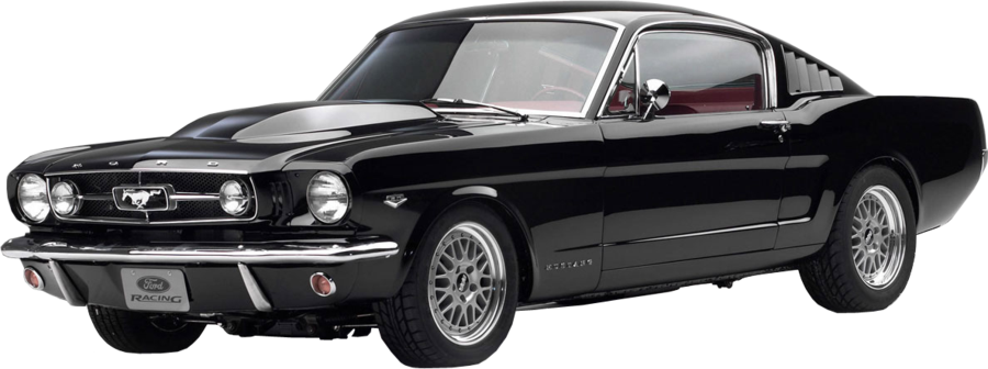 Mustang PNG Isolated Photo