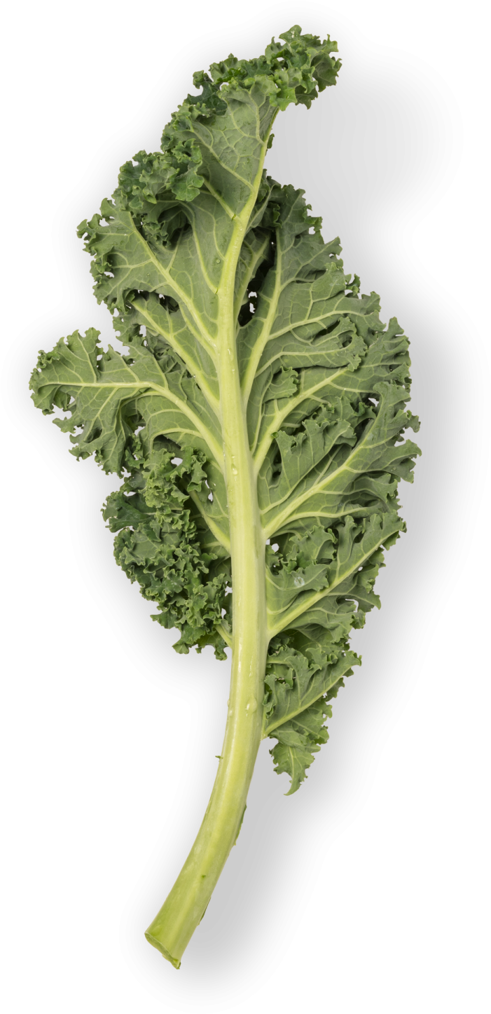 Mustard Greens PNG Isolated Pic