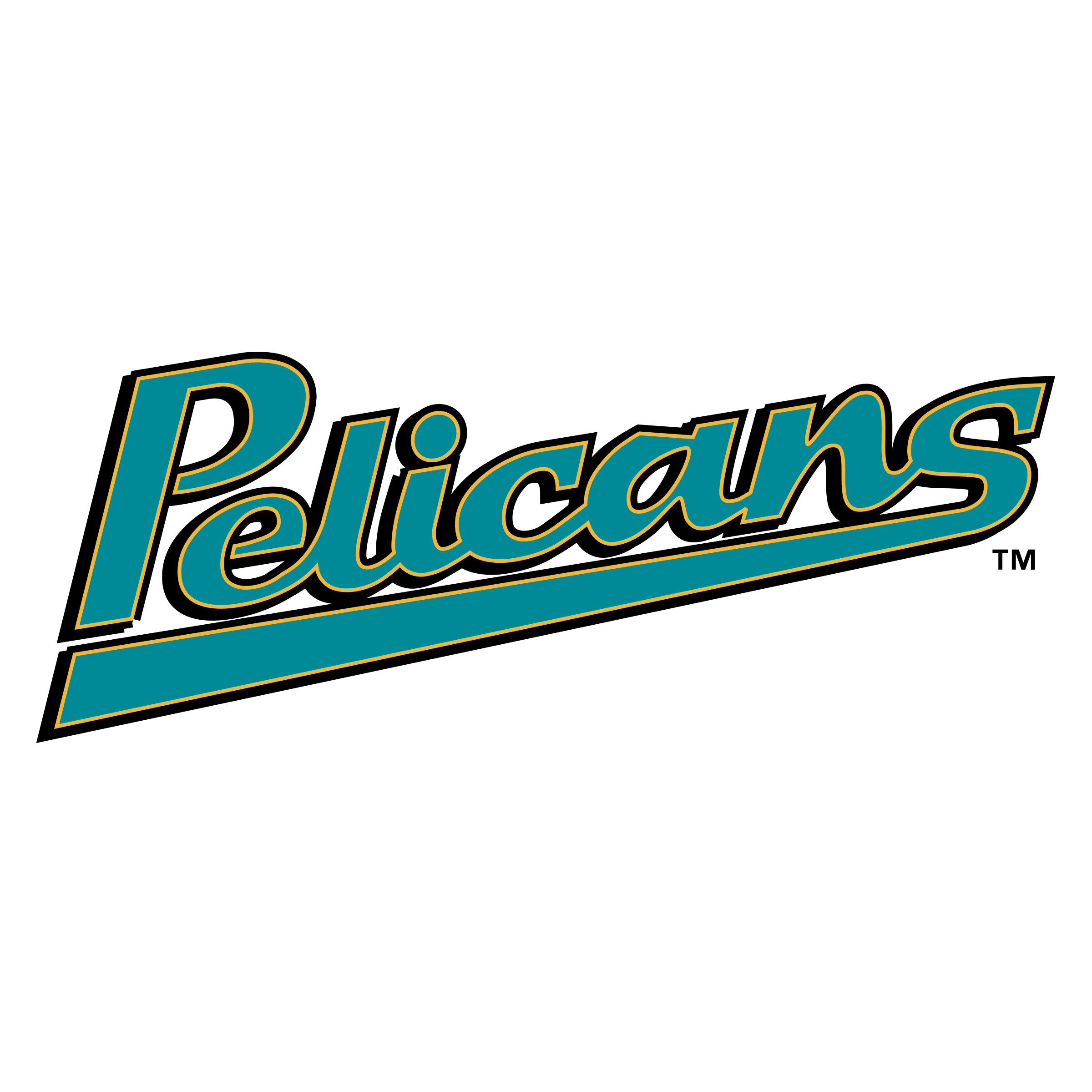 Myrtle Beach Pelicans PNG File
