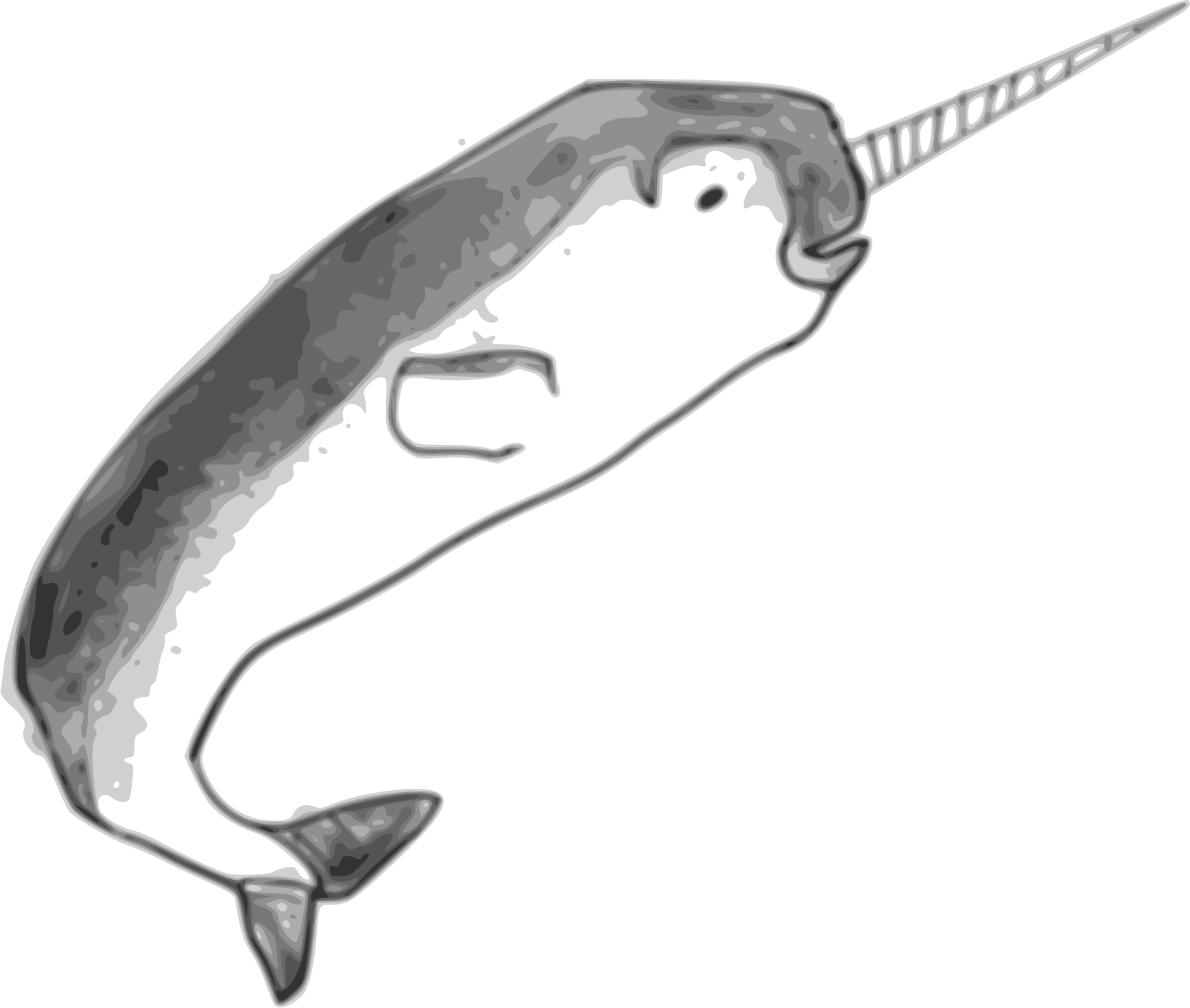 Narwhale PNG Pic