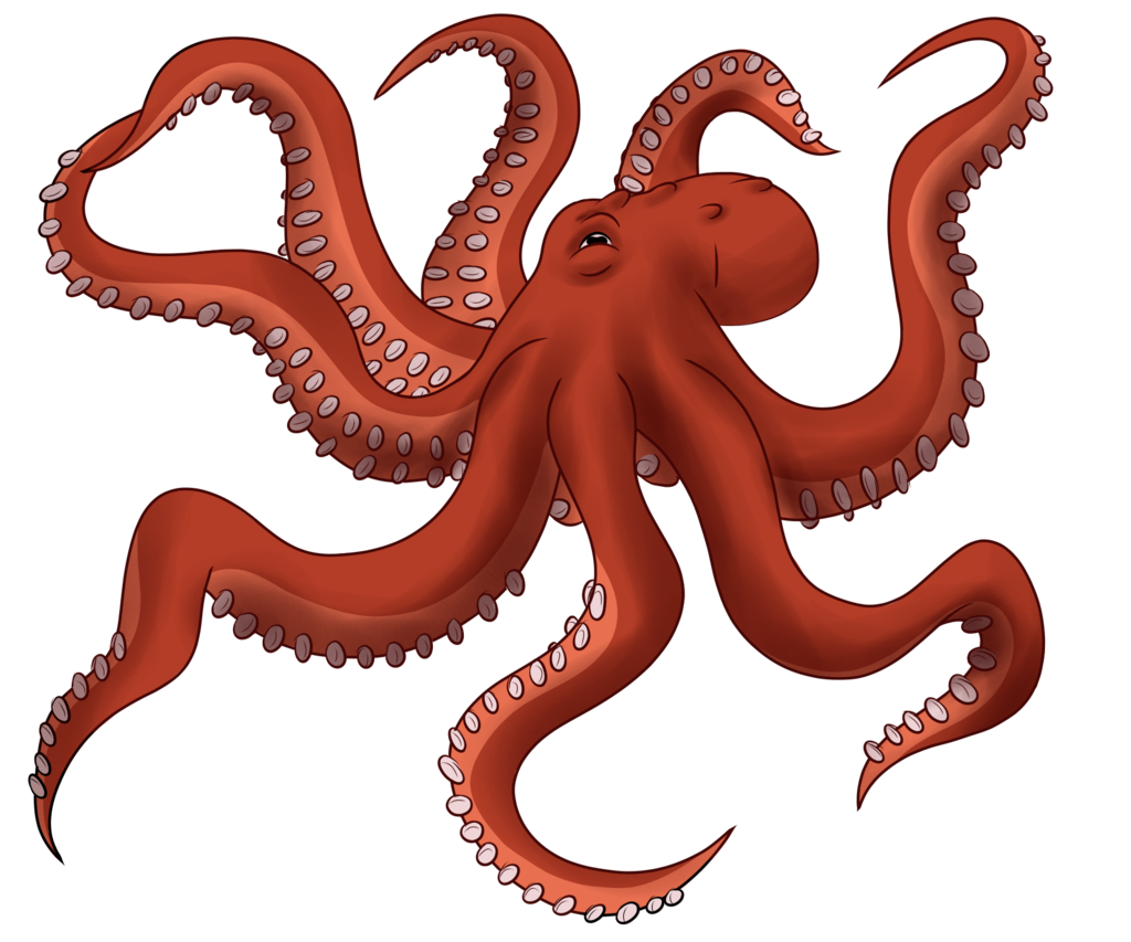Nautiloid PNG Isolated HD