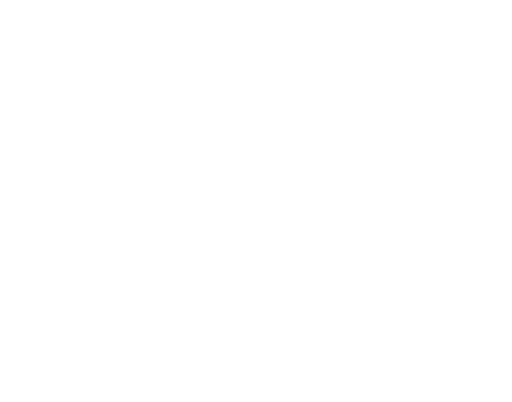 nestle logo transparent