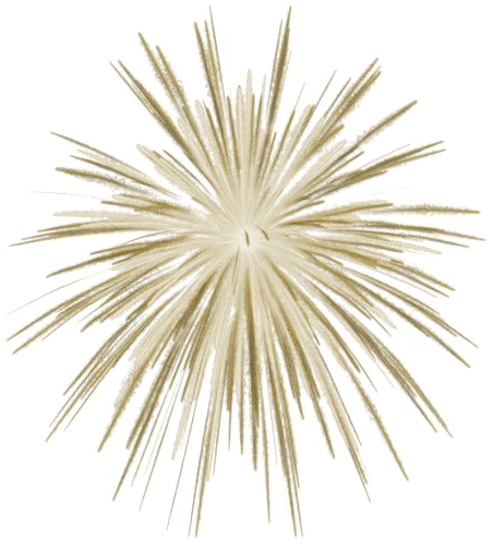 New Year Fireworks PNG Image