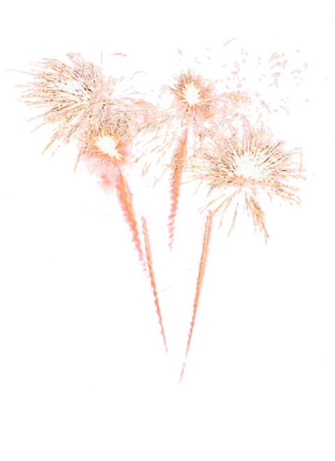 New Year Fireworks PNG Photos