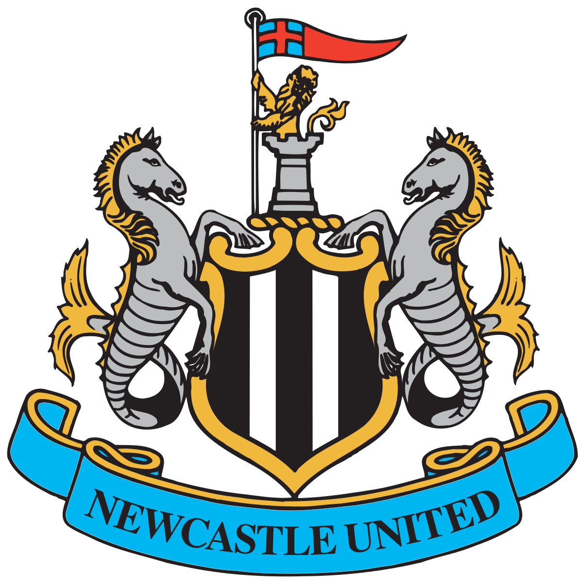 Newcastle United PNG Image