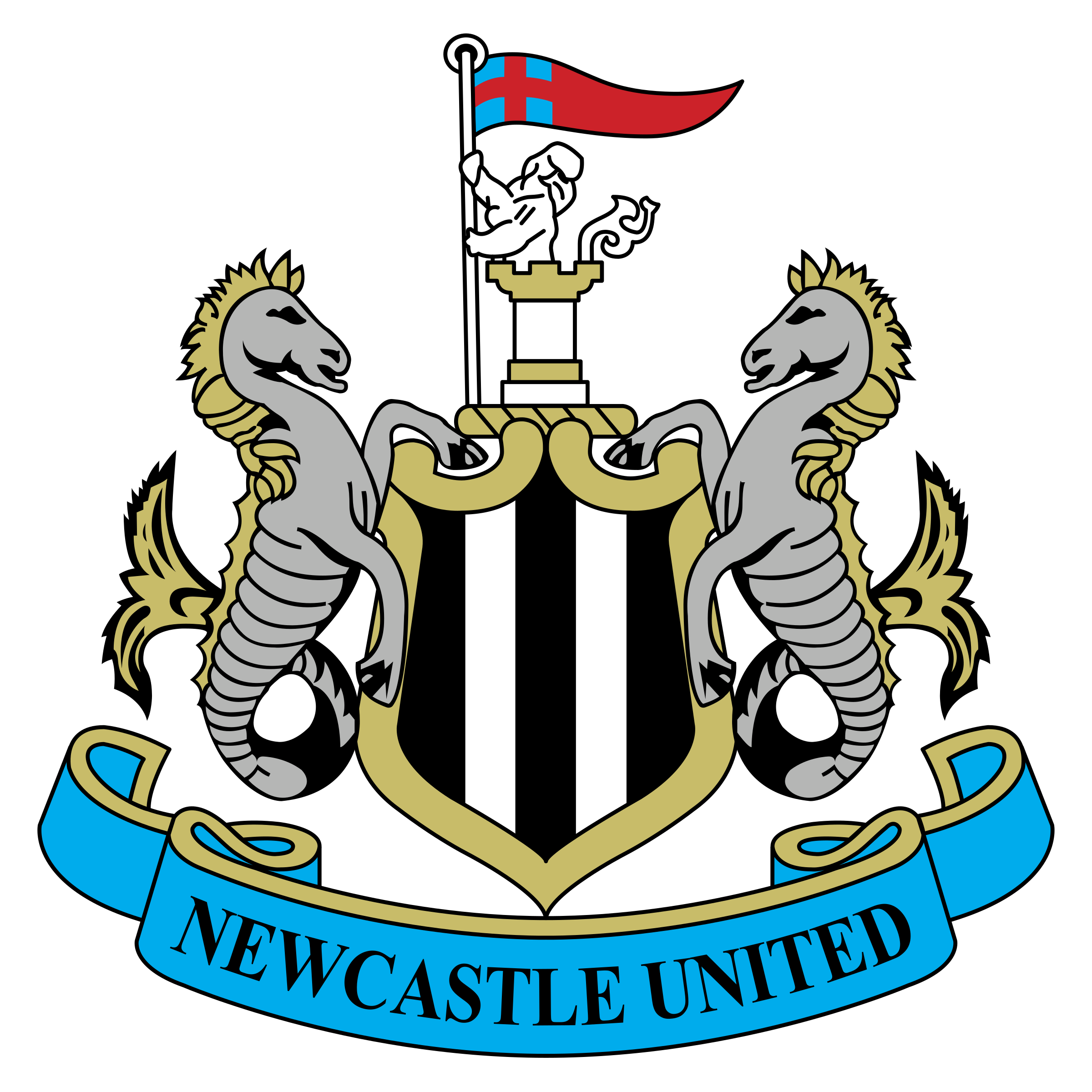 Newcastle United PNG