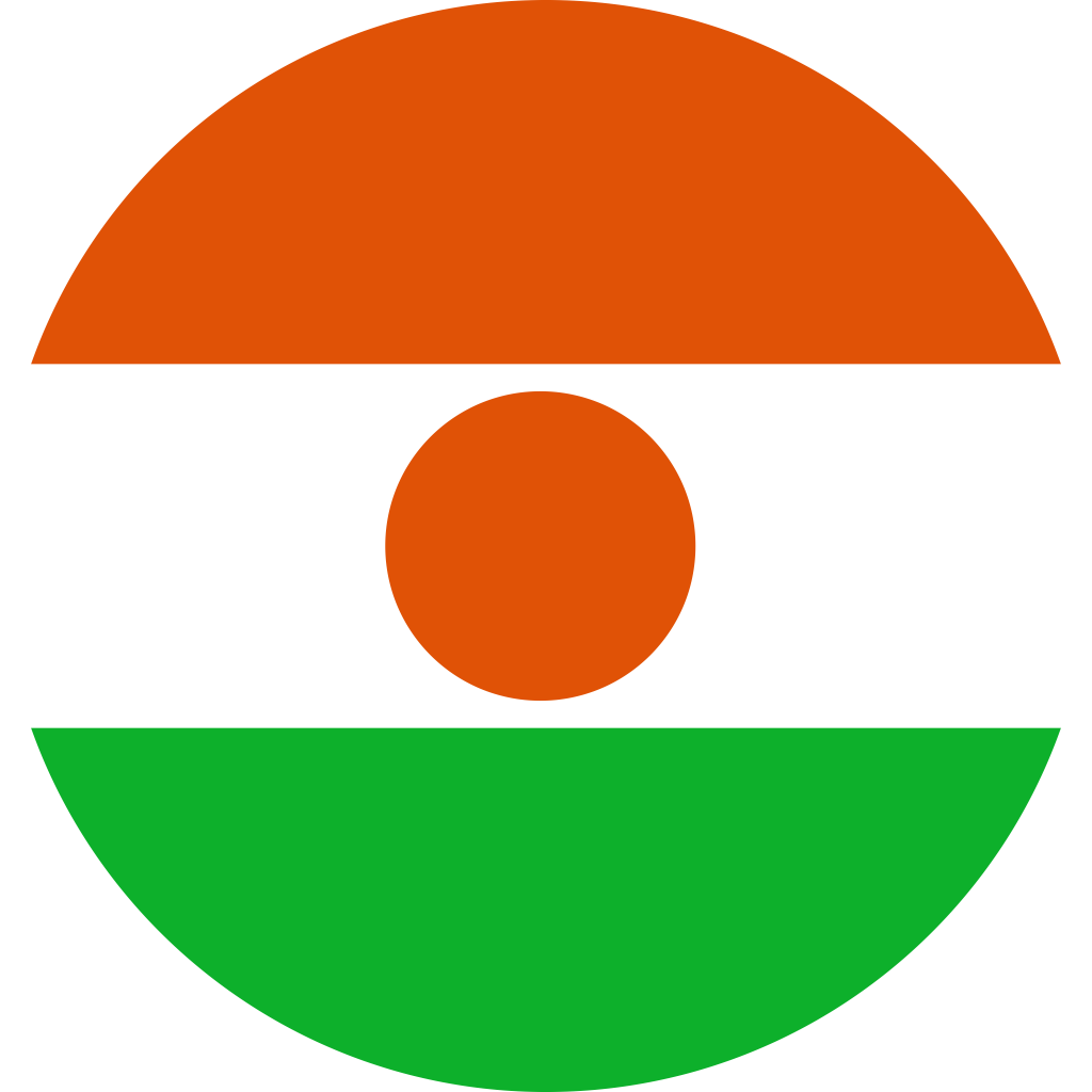 Niger Flag PNG Isolated File
