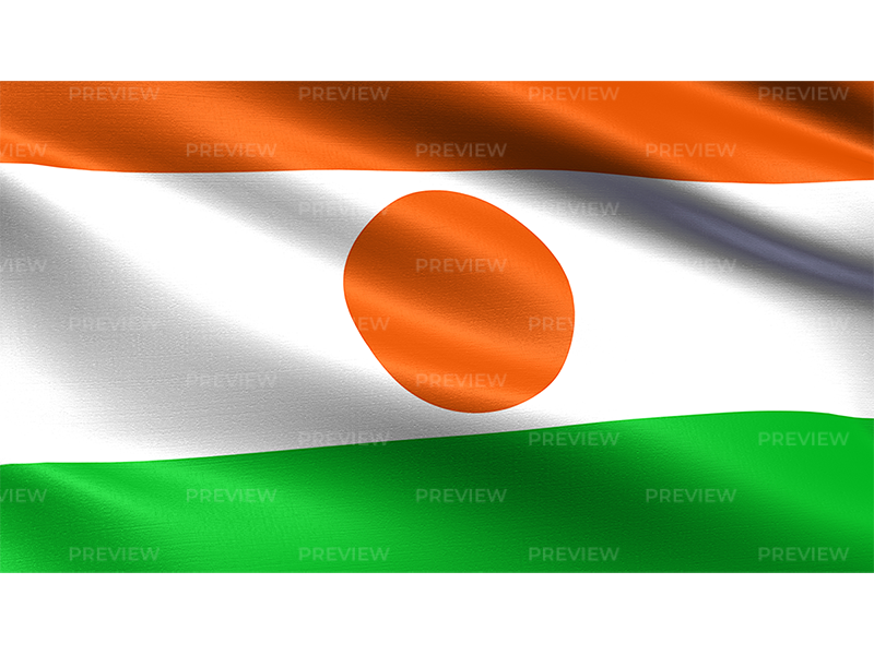 Niger Flag PNG Isolated HD
