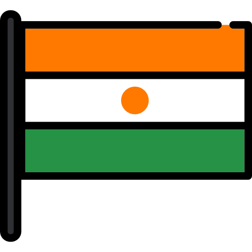 Niger Flag PNG Picture
