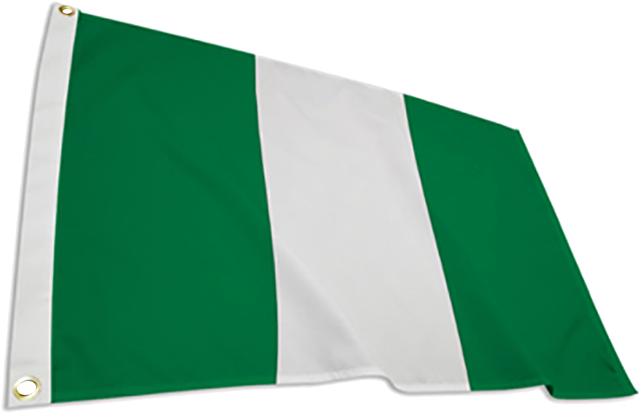 Nigeria Flag PNG Isolated Photo