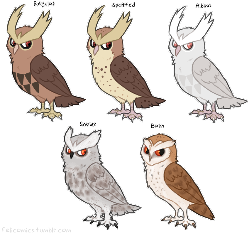 Noctowl Pokemon PNG HD Isolated