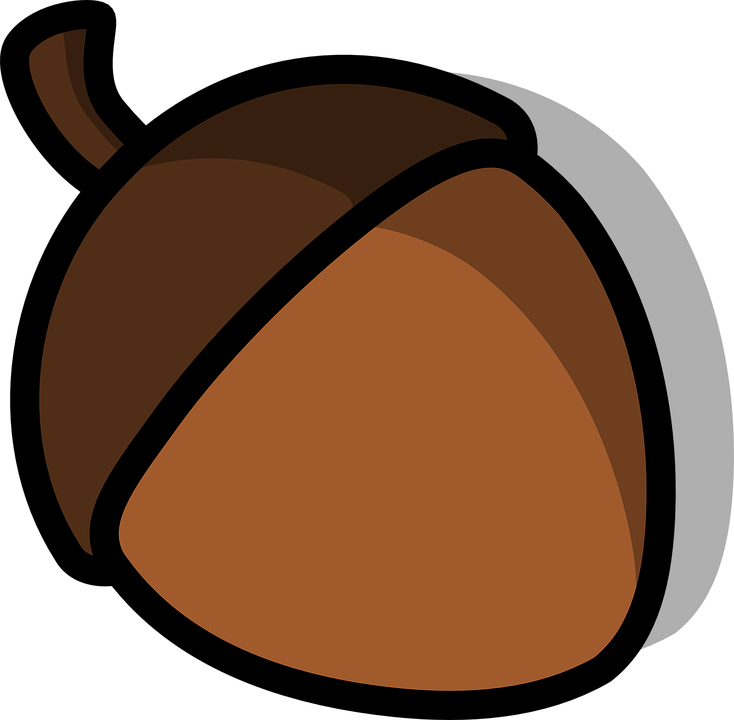 Nut PNG HD Isolated