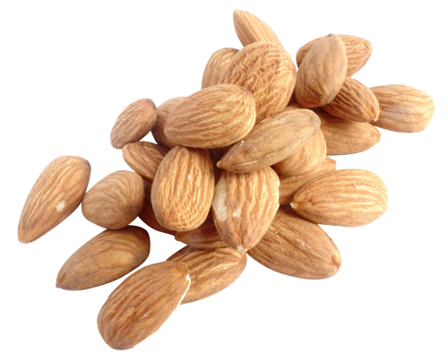 Nut PNG Isolated HD