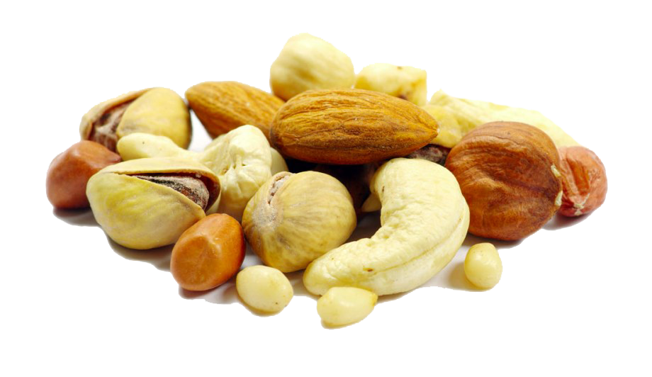 Nut PNG Isolated Image