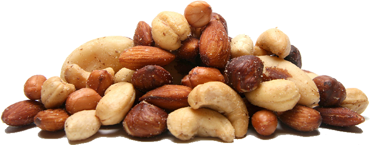 Nut PNG Transparent
