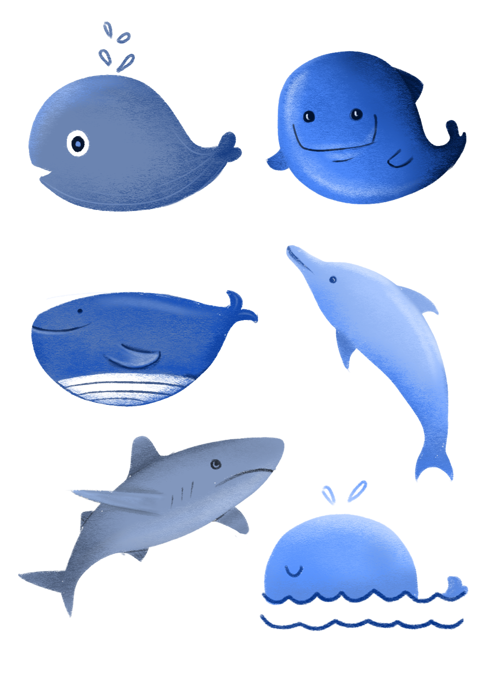 Oceanic Dolphins PNG Image