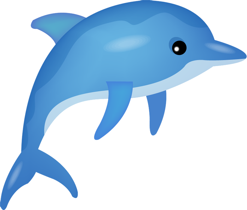 Oceanic Dolphins PNG Photo