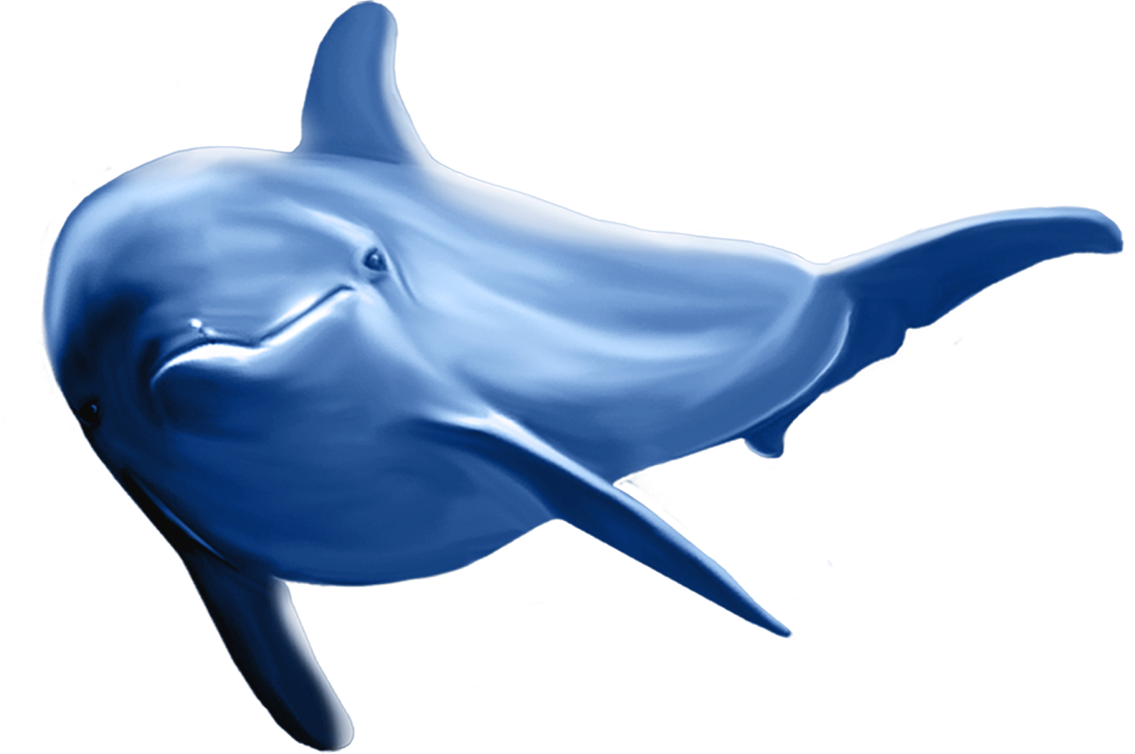 Oceanic Dolphins PNG Transparent
