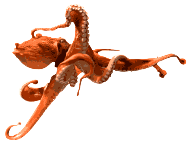 Octopuse Download PNG Image