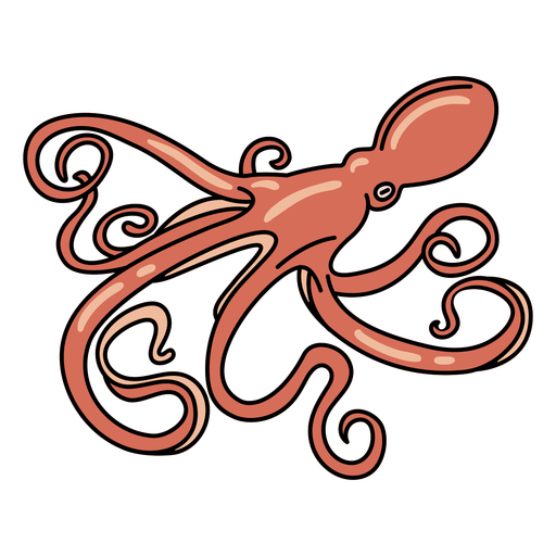 Octopuse PNG HD Isolated
