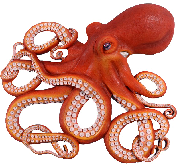 Octopuse PNG Transparent