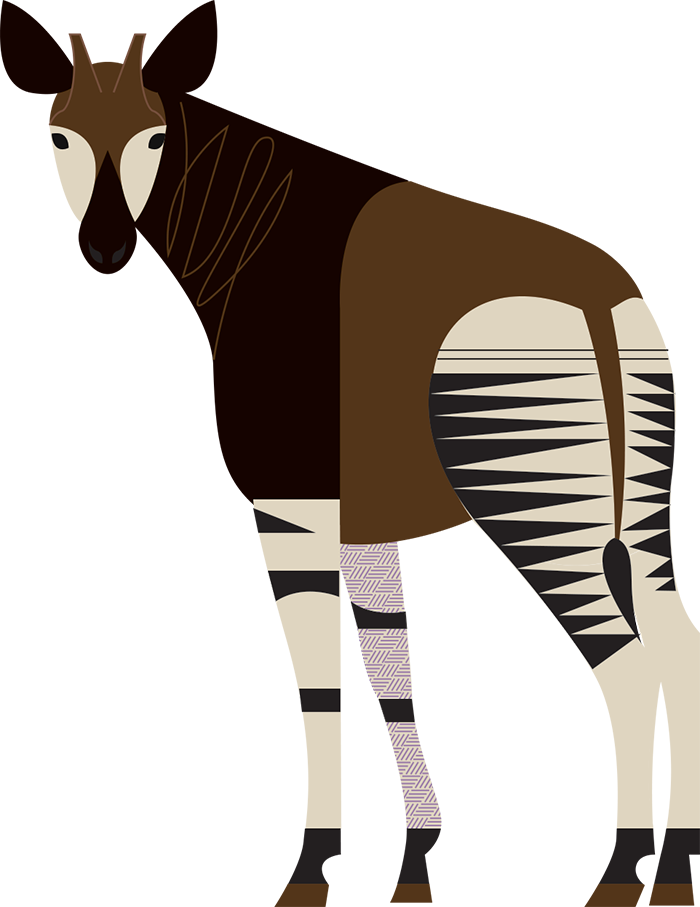 Okapis PNG File