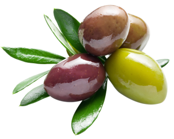 Olives PNG Free Download