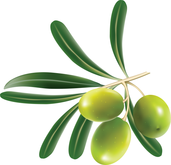 Olives PNG Isolated File